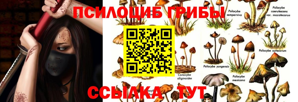 Луховицы  Галлюциногенные грибы Psilocybe  Вход с VPN 