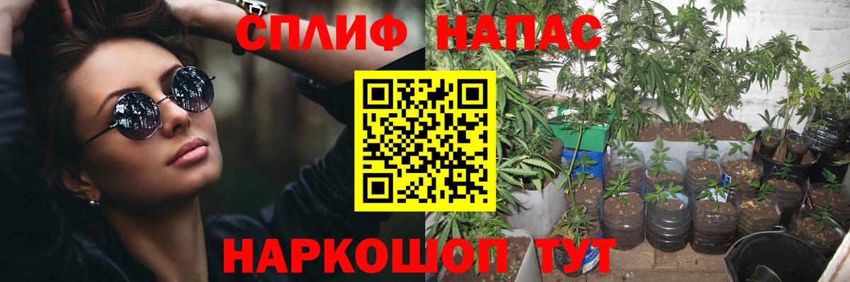 Каннабис индика  Вход с VPN  Бошки Шишки сатива  Луховицы  Бошки марихуана конопля 